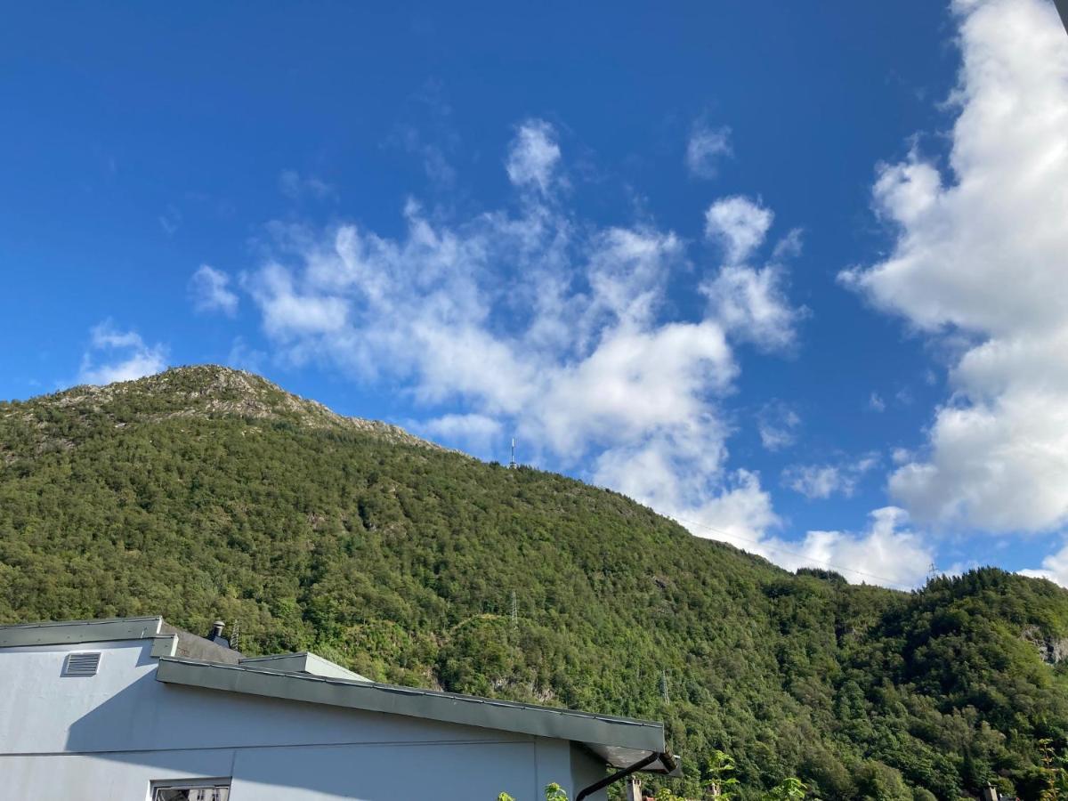 Kjellerleilighet - Naert Haukeland Sykehus. Bergen Exterior foto